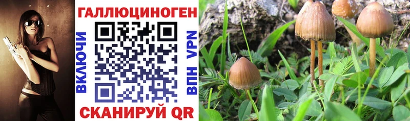 Псилоцибиновые грибы прущие грибы  цены   Печоры 